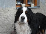 DSCN0326