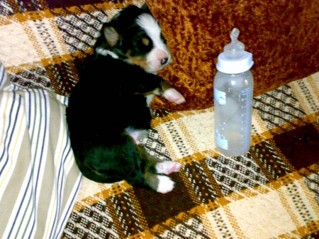 15052009075