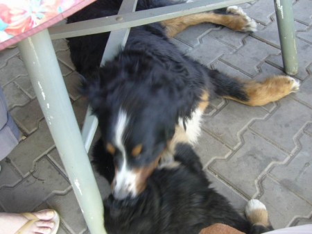 P1010375